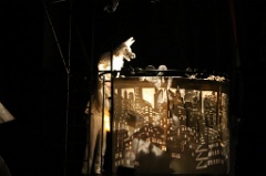 White Dog 41 * 6240 x 4160 * (5.18MB)